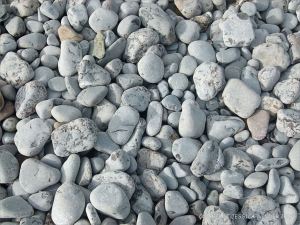 Pebbles of the shingle banks at Pwll Du