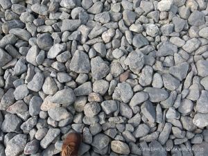Pebbles of the shingle banks at Pwll Du