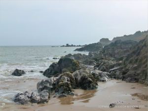 Detail of Carboniferous Limestone at Pwll Du Bay