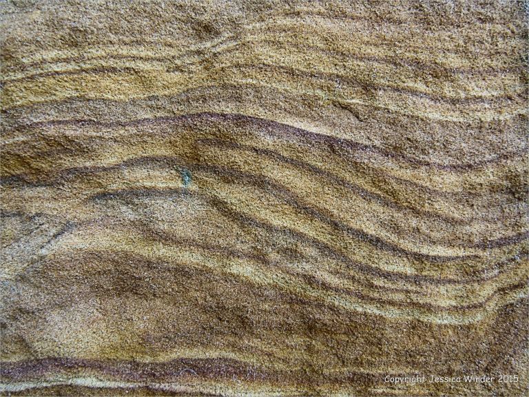 Rock colour, pattern, and texture in Creekmoor Sand (Redend Sandstone) at Studland Bay