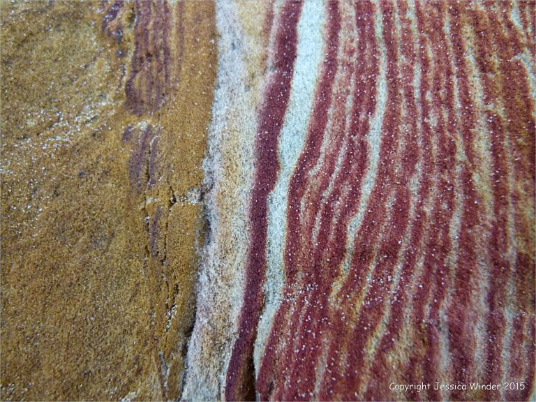 Rock colour, pattern, and texture in Creekmoor Sand (Redend Sandstone) at Studland Bay