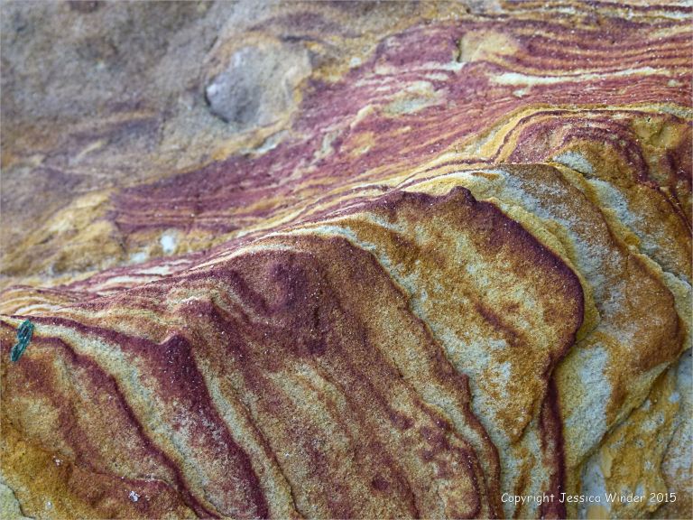 Rock colour, pattern, and texture in Creekmoor Sand (Redend Sandstone) at Studland Bay