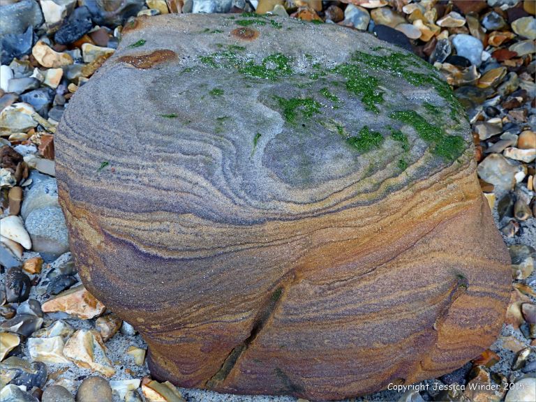 Beach boulder and pebbles on the north side of Redend Point in Studland Bay, Dorset, England.