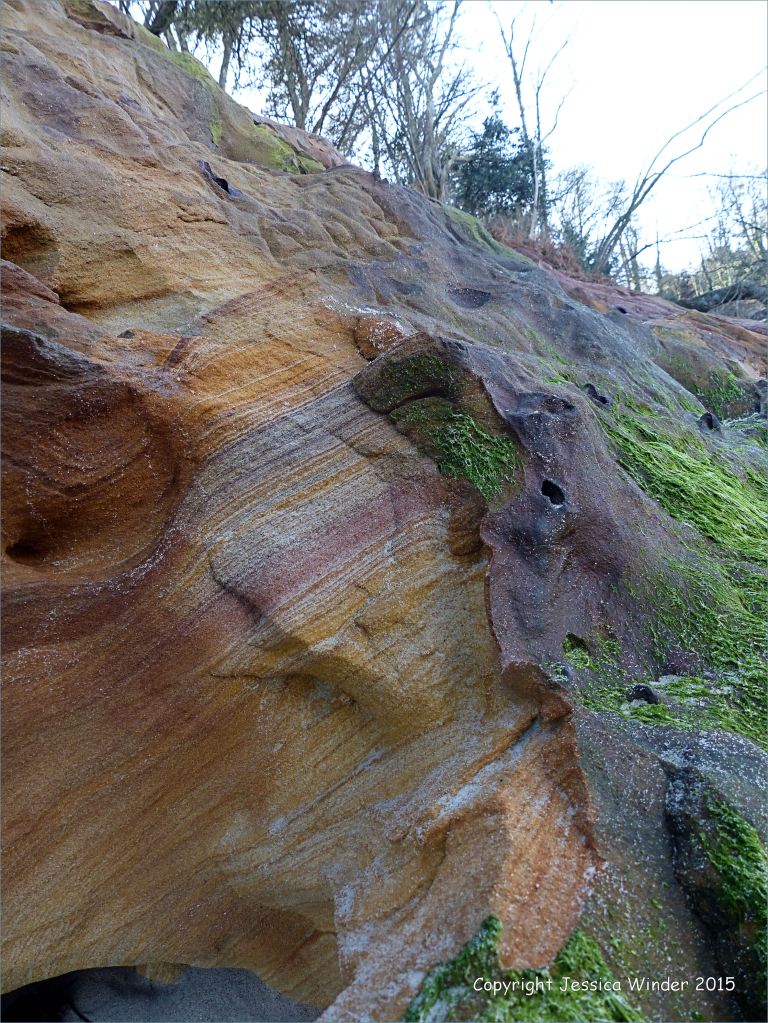 Lower cliff rocks on the north side of Redend Point in Studland Bay, Dorset, England.