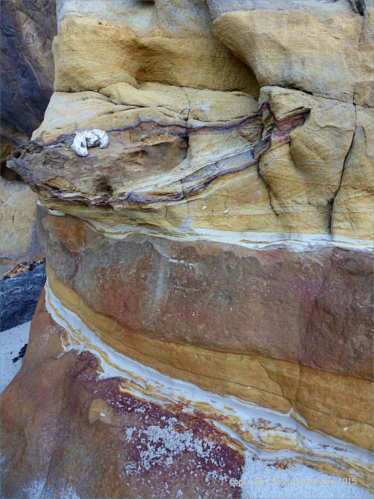 Lower cliff rocks on the north side of Redend Point in Studland Bay, Dorset, England.
