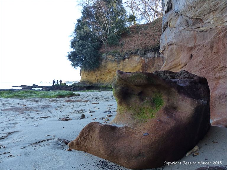 Boulder and cliff on the north side of Redend Point in Studland Bay, Dorset, England.