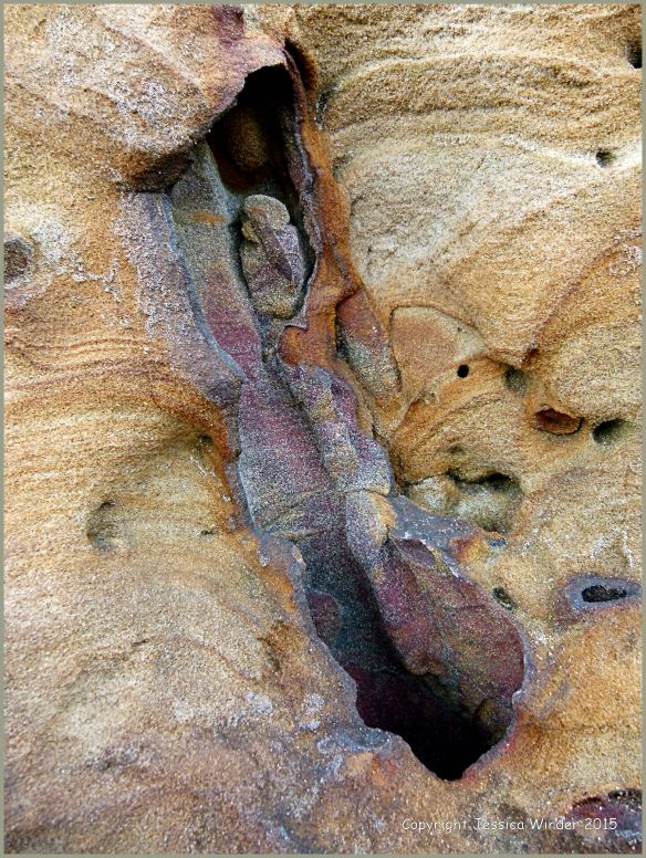 Restoration Point Rocks Rocks at Redend Point in Studland Bay – 1 – Jessica's Nature Blog