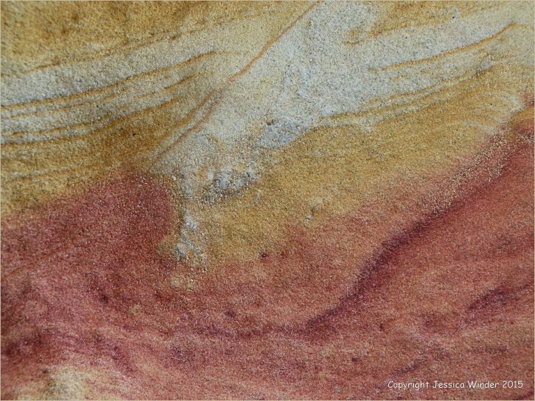 Rock colour, pattern, and texture in Creekmoor Sand (Redend Sandstone) at Studland Bay