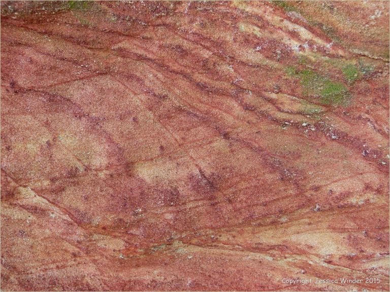 Rock colour, pattern, and texture in Creekmoor Sand (Redend Sandstone) at Studland Bay