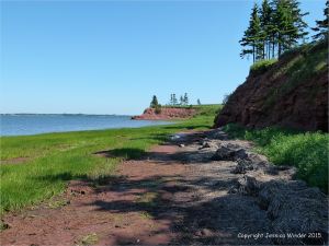 View along the shoreline at Lord Selkirk Provincial Park in Prince Edward Island, Canada, with red Permian rocks.