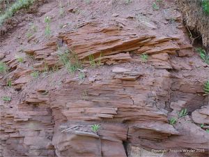 Layers of red Permian rock in a low cliff at Lord Selkirk Provincial Park on Prince Edward Island.