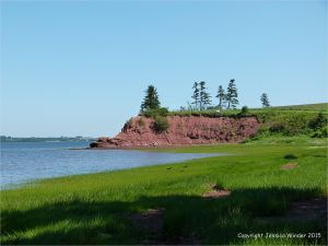 View along the shoreline at Lord Selkirk Provincial Park in Prince Edward Island, Canada, with lush green early summer vegetation and red Permian rocks.