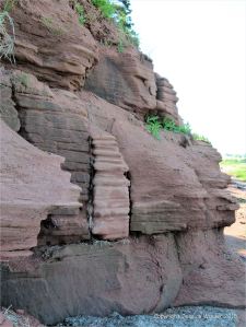 Red bed Permian strata in low cliffs at Lord Selkirk Provincial Park on Prince Edward Island