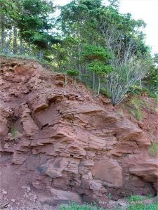 Red bed Permian strata in low cliffs at Lord Selkirk Provincial Park on Prince Edward Island