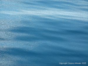 Millions of micro-ripples texture the gentlely undulating water of the Northumberland Strait