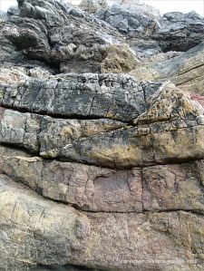 Rock colour and texture in Caswell Bay Mudstone strata