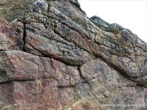 Rock colour and texture in Caswell Bay Mudstone strata