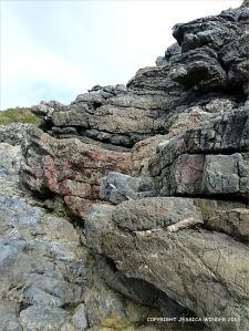 Rock colour and texture in Caswell Bay Mudstone strata