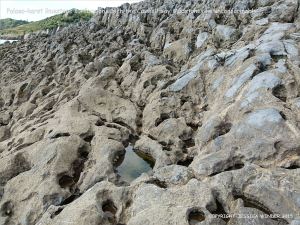 View of the raised palaeo-karst limestone surface at Caswell Bay