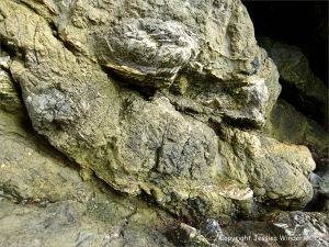 Rock colour and texture in Caswell Bay Mudstone strata