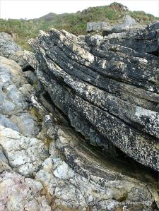 Rock colour and texture in Caswell Bay Mudstone strata