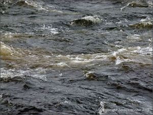 Rough surface water texture in a fast flowing river