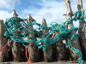 Old timber posts of a beach groyne entangled with fishing net