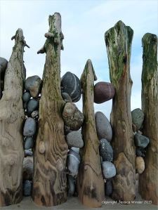 Weathered wooden posts of a beach groyne with trapped pebbles