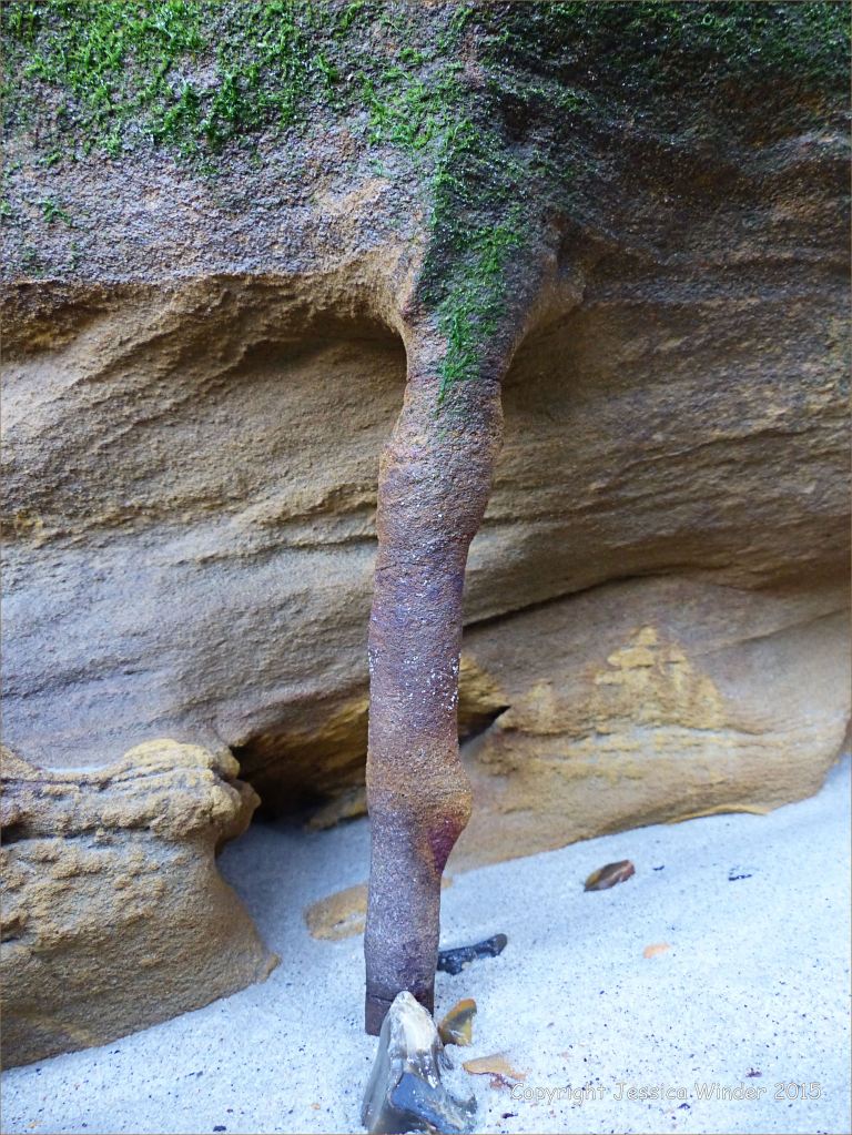 Natural pipe at the base of a sandstone cliff isolated by the sea eroding the softer surrounding rock