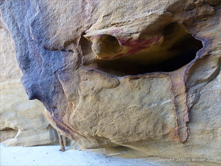 Iron-lined cavities and pipes in Redend Sandstone at Studland Bay