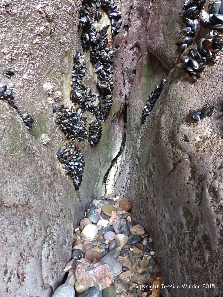 A recessed gully where a rock crack has eroded back
