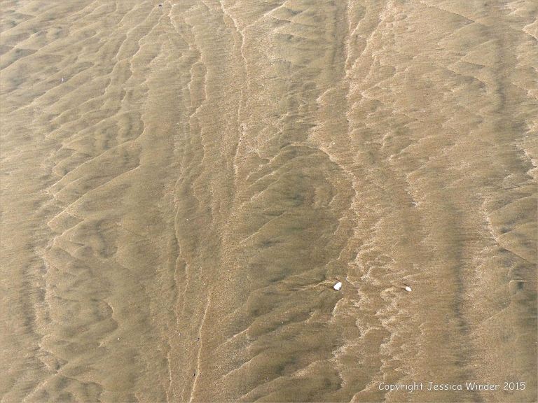 Natural pattern and texture in damp sand at Rhossili Bay