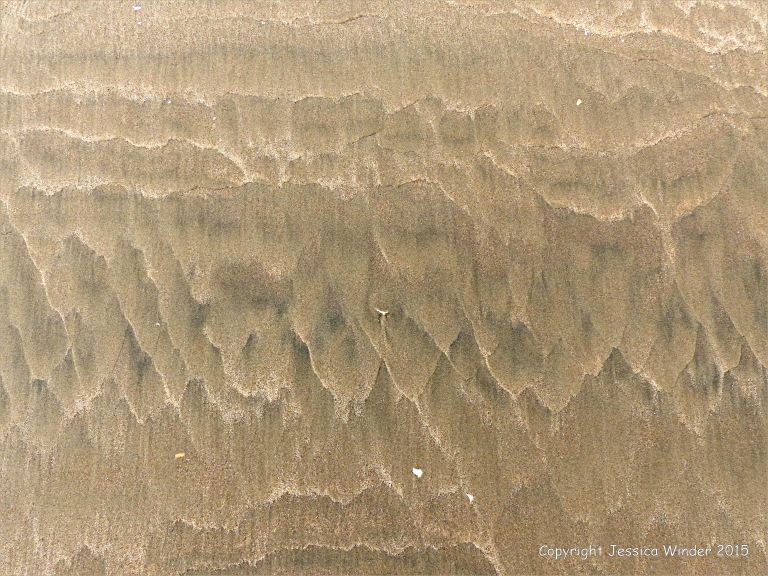 Natural pattern and texture in damp sand at Rhossili Bay