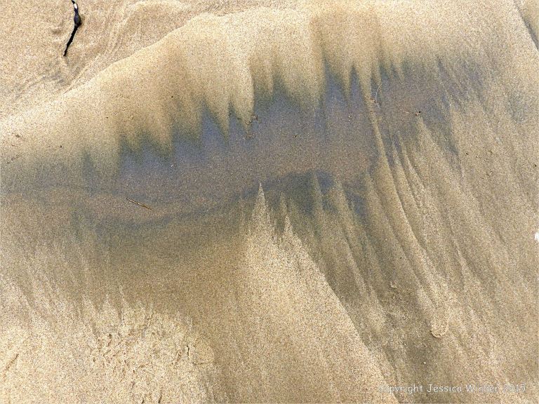Natural patterns of dark streaks along the driftlines of a sandy beach