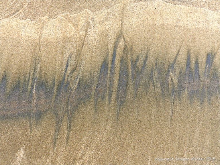 Natural patterns of dark streaks along the driftlines of a sandy beach