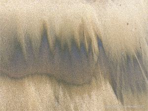 Natural patterns of dark streaks along the driftlines of a sandy beach