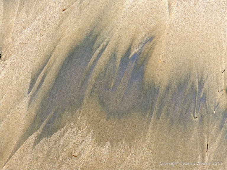 Natural patterns of dark streaks along the driftlines of a sandy beach