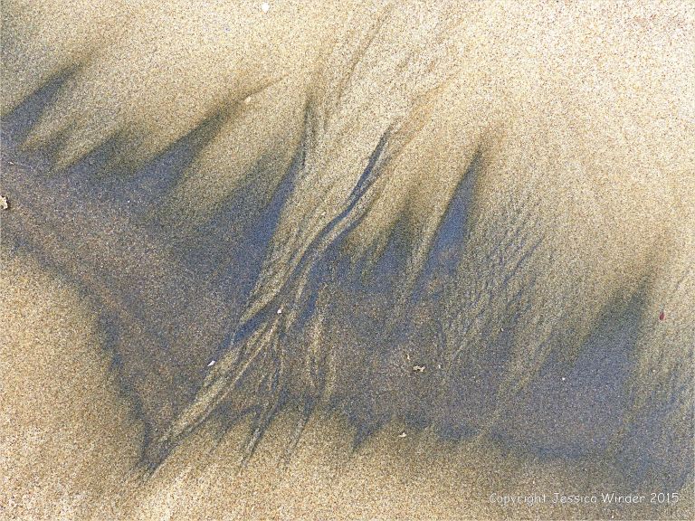 Natural patterns of dark streaks along the driftlines of a sandy beach