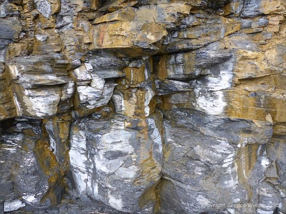 Detail of cliff strata from Kimmeridge Bay