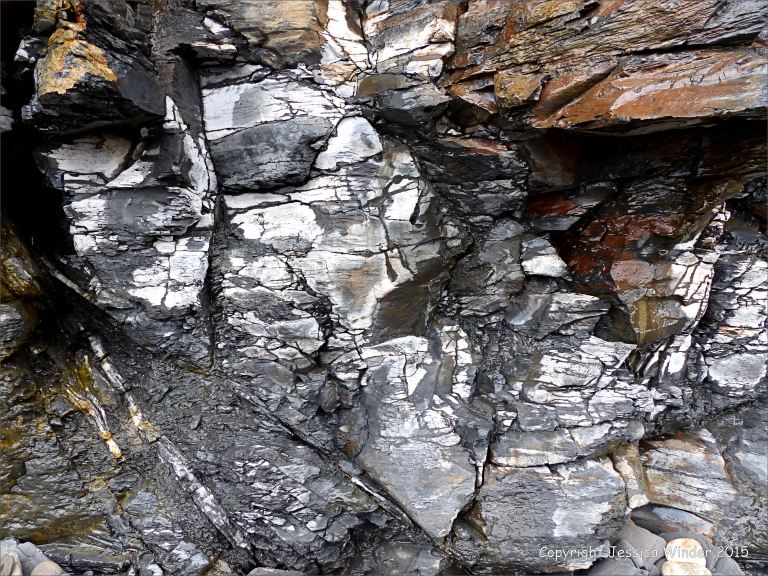 Detail of cliff strata from Kimmeridge Bay