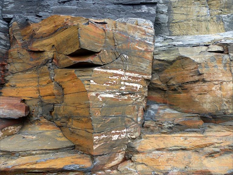 Detail of cliff strata from Kimmeridge Bay