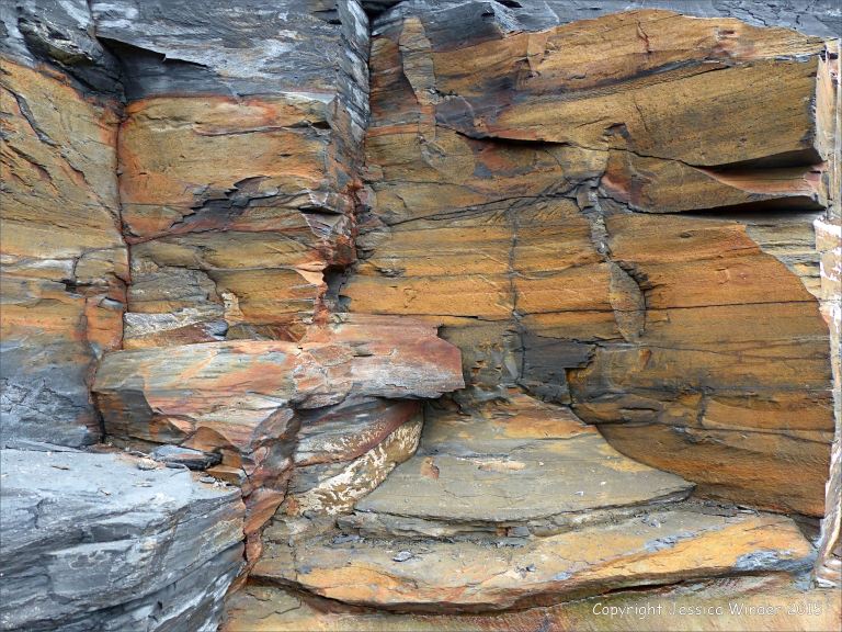Detail of cliff strata from Kimmeridge Bay