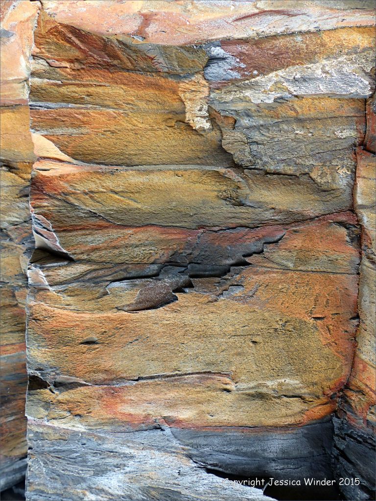 Detail of cliff strata from Kimmeridge Bay
