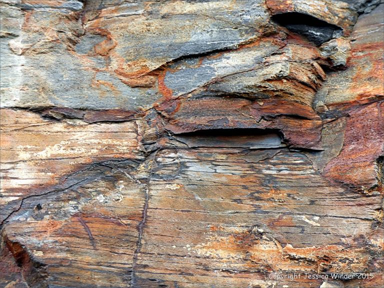Detail of cliff strata from Kimmeridge Bay