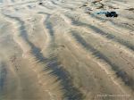Natural patterns of dark streaks along the driftlines of a sandy beach