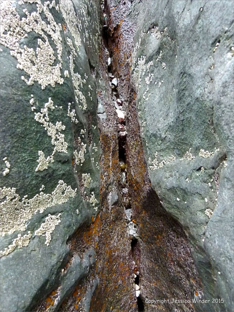 Natural abstract image of a crack in the rock of a cliff face with sponge, worm burrows and barnacles