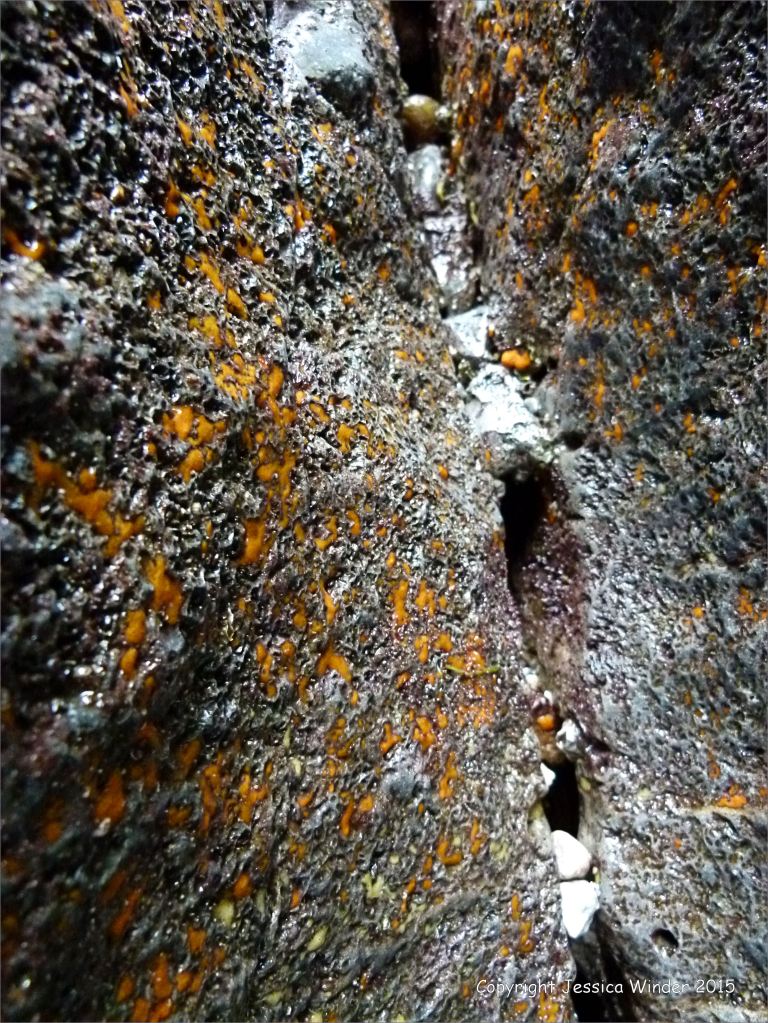 Natural abstract image of a crack in the rock of a cliff face with sponge and worm burrows