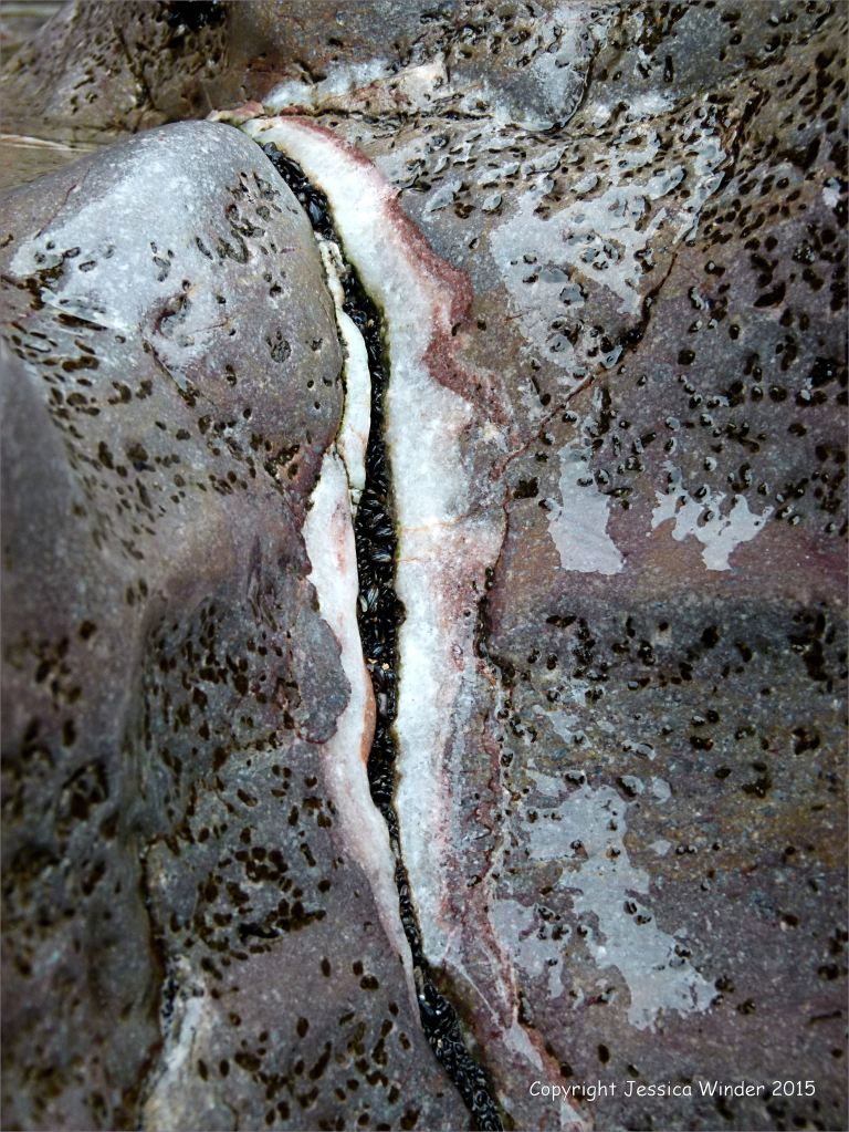 Rock cleft in a cliff face