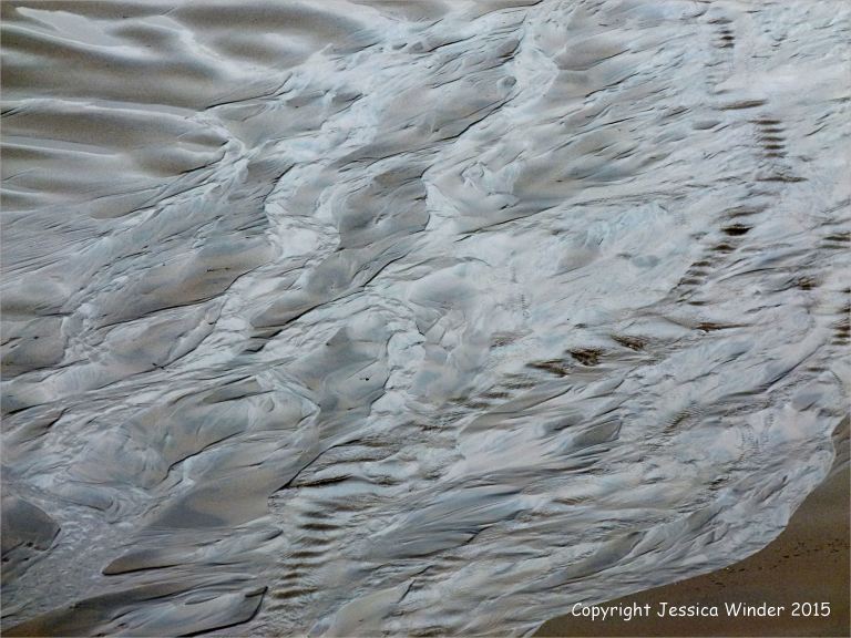 Silvery sand patterns at Rhossili Bay
