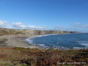 Limestone rock texture on the Gower coast